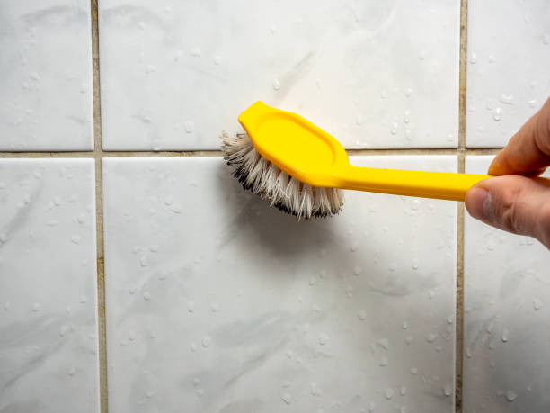 Best Residential Mold Removal  in Greenville, IN