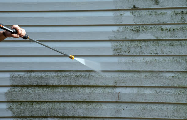 Mold Testing and Removal in Greenville, IN