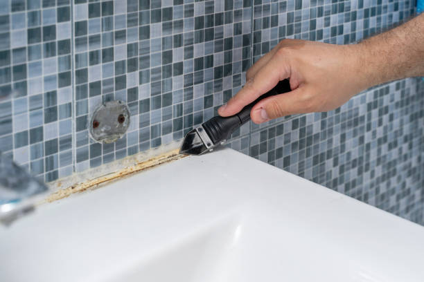 Best Mold Remediation  in Greenville, IN