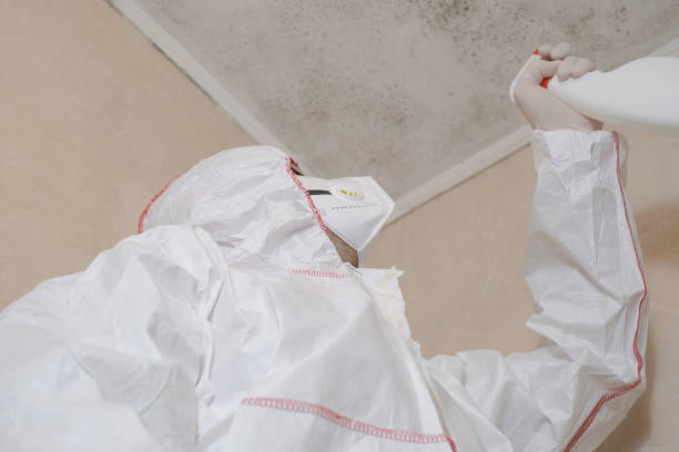 Best Mold Remediation Services  in Greenville, IN