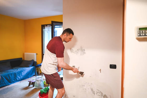 Best Water Damage Restoration  in Greenville, IN